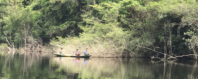 Dentro da Floresta